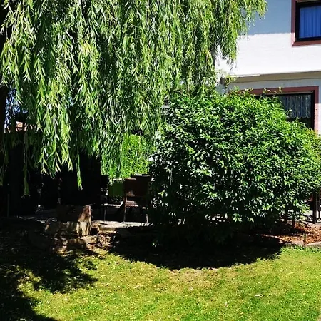 Hotel Irene Bad König