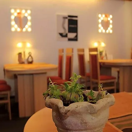 Hotel Irene Bad Konig