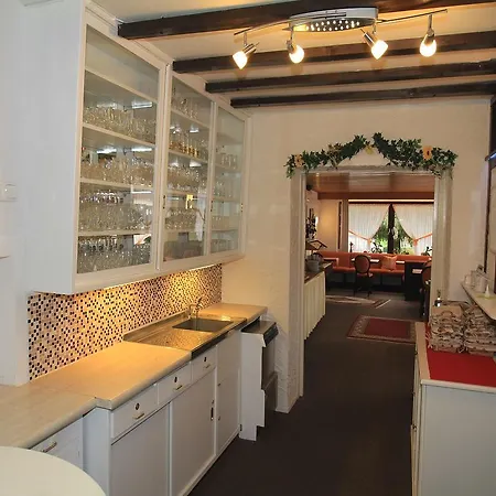 Hotel Irene Bad Konig