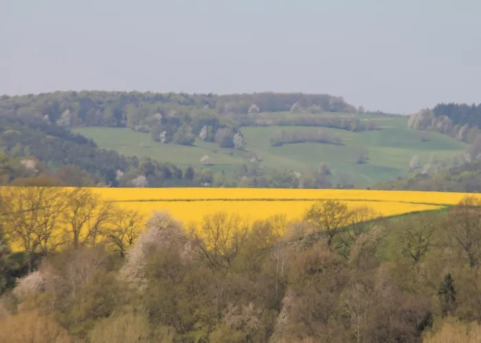 Hotel Irene Bad König