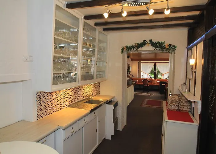 Hotel Irene Bad Konig